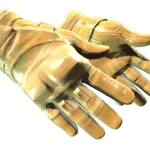★ Moto Gloves | Transport (Factory New)