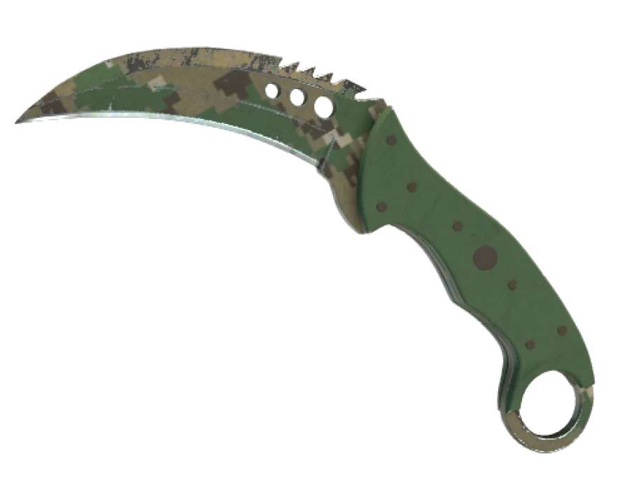 ★ Talon Knife | Forest DDPAT (Well-Worn) - Image 1