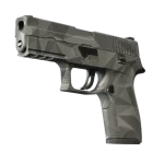 P250 | Facets (Factory New)