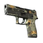 P250 | Modern Hunter (Battle-Scarred)