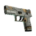 P250 | Modern Hunter (Factory New)