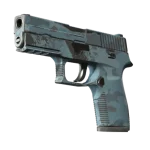 Souvenir P250 | Forest Night (Well-Worn)