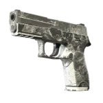 Souvenir P250 | Sleet (Battle-Scarred)