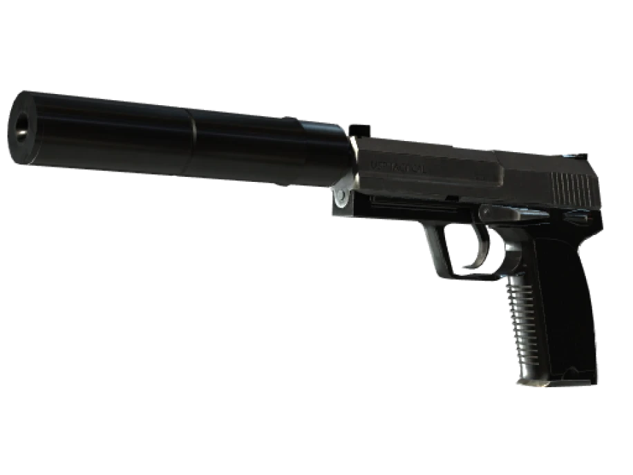 Souvenir USP-S | Stainless (Field-Tested) - Image 1