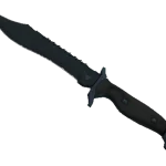★ Bowie Knife | Night (Factory New)