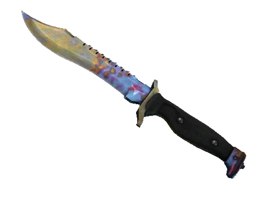 ★ StatTrak™ Bowie Knife | Case Hardened (Well-Worn) - Image 1