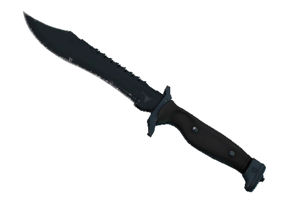 ★ Bowie Knife | Night (Well-Worn) - Image 1